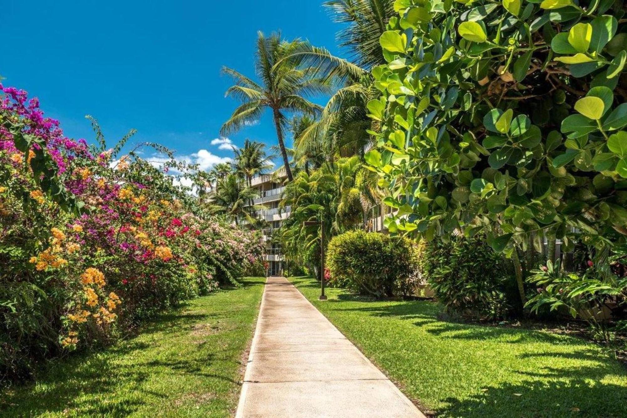 Maui Banyan Villa Wailea  Ruang foto