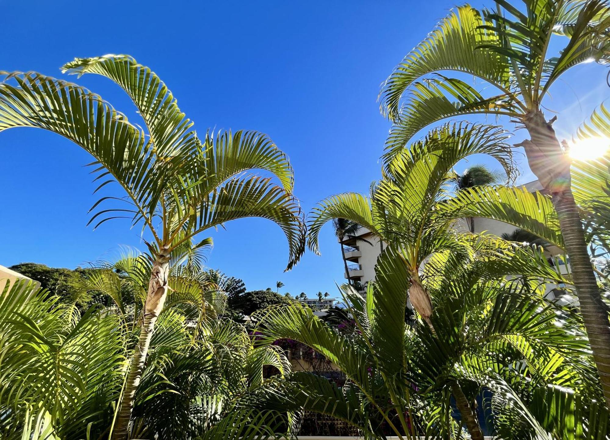 Maui Banyan Villa Wailea  Ruang foto
