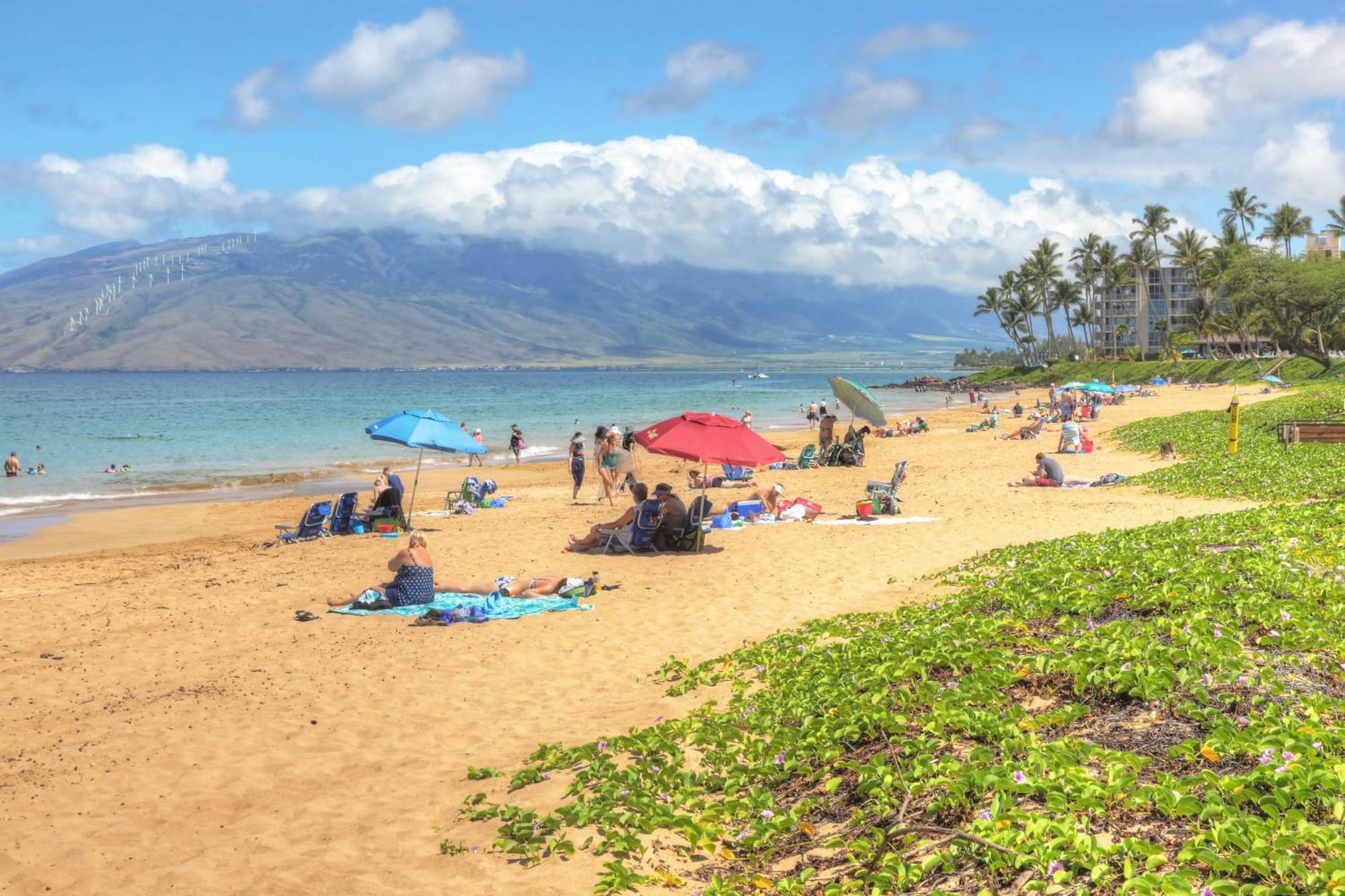 Maui Banyan Villa Wailea  Ruang foto